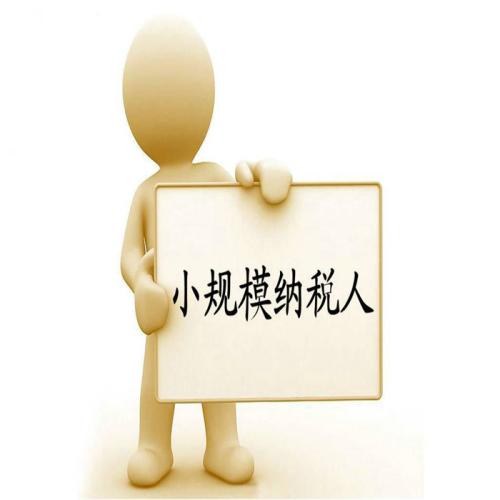 小規(guī)模登記成一般人將在網上辦理，截止日期是2018.11.20前