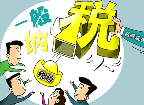 一般納稅人有哪些稅率以及稅率適用的范圍_護(hù)航財(cái)稅